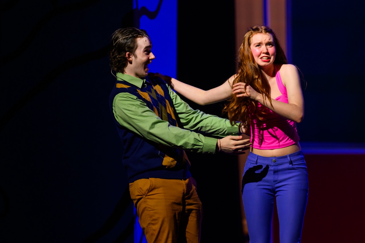 Bye Bye Birdie — production photo